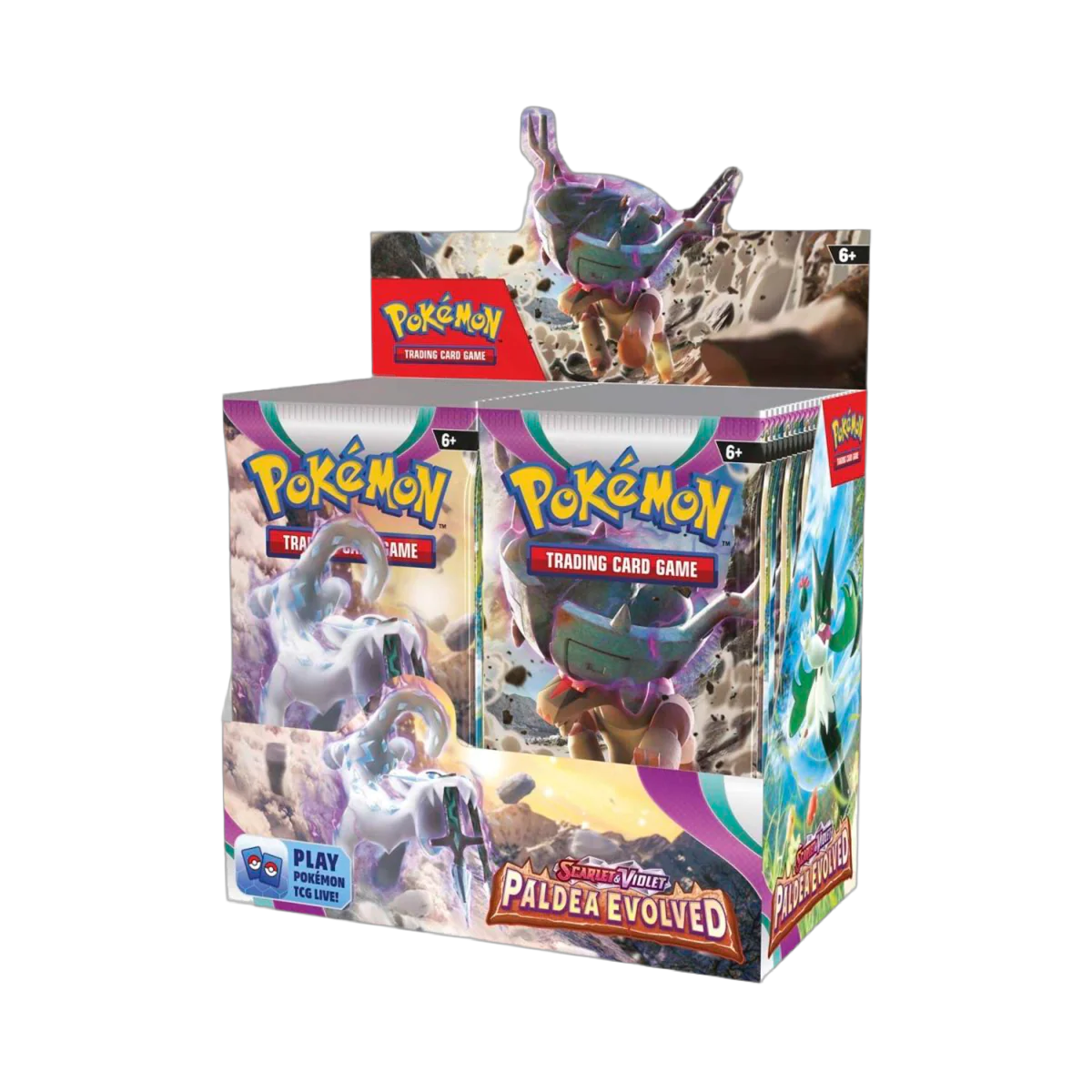 Pokemon - Paldea Evolved - Booster Box (Inkludert Plastbeskytter)